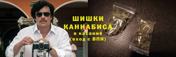 прущие грибы Козельск