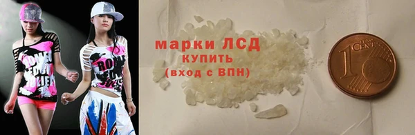 прущие грибы Козельск