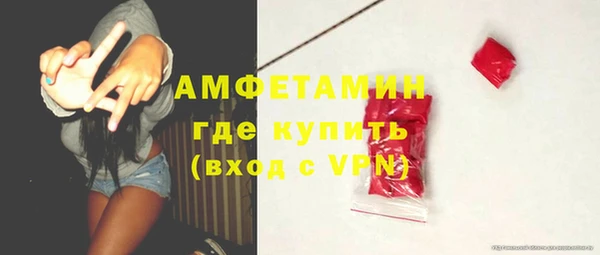 прущие грибы Козельск