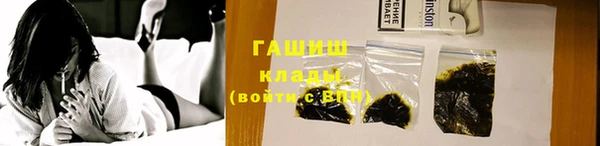 прущие грибы Козельск