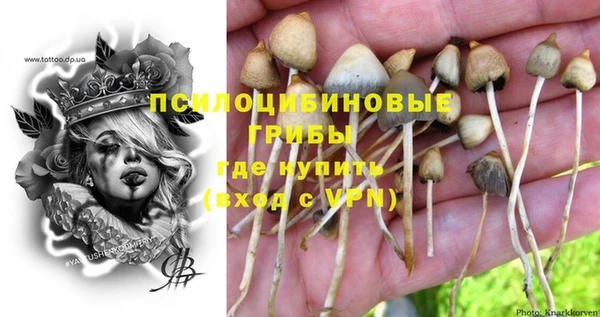 mdma Козловка
