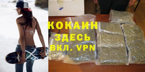 прущие грибы Козельск