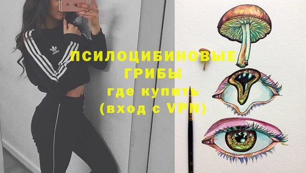 mdma Козловка
